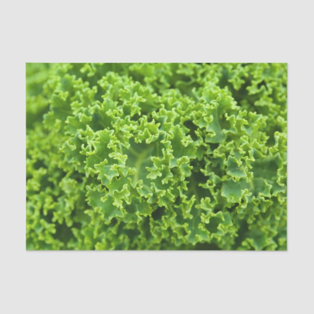 Papel De Seda Patrón de col (Anverso)