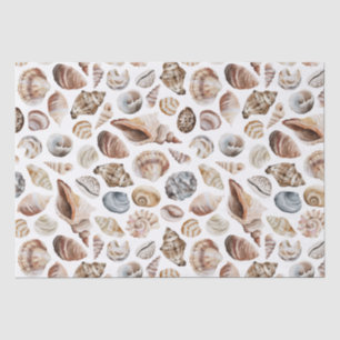 Papel De Seda Patrón de conchas marinas