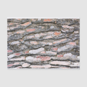 Papel De Seda Patrón de corteza de pino