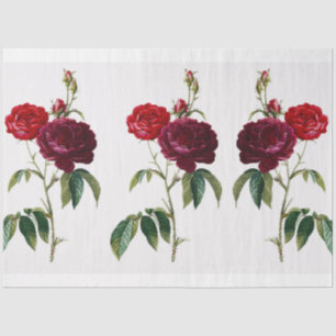 Papel De Seda Patrón de cosecha de Rosa de flores