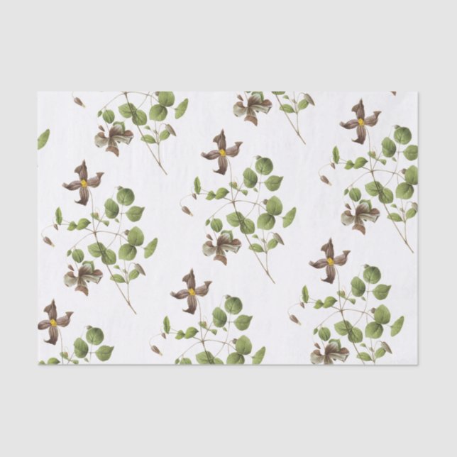Papel De Seda Patrón de flor Clematis (Anverso)