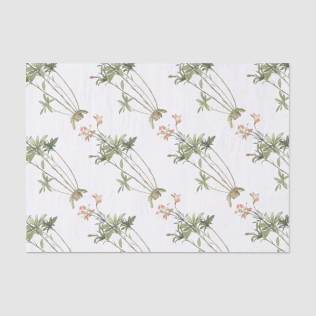 Papel De Seda Patrón de flor de Alstromeria (Anverso)