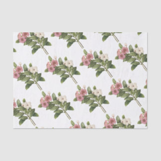 Papel De Seda Patrón de flor de guiñada