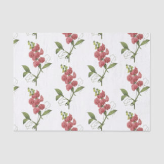Papel De Seda Patrón de flor de guisantes dulces