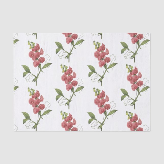 Papel De Seda Patrón de flor de guisantes dulces (Anverso)