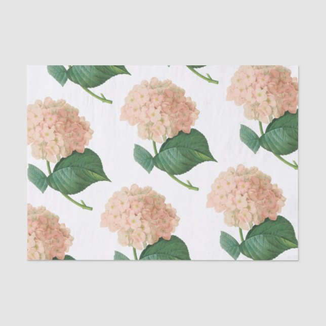 Papel De Seda Patrón de flor de Hydrangea (Anverso)