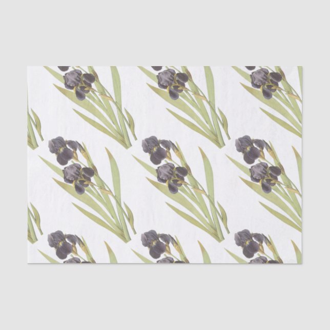 Papel De Seda Patrón de flor de iris con barba (Anverso)