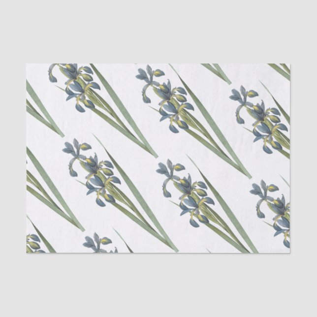 Papel De Seda Patrón de flor de iris de mariposa (Anverso)