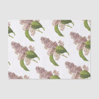 Papel De Seda Patrón de flor de Lilac