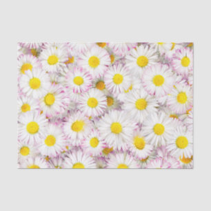 Papel De Seda Patrón de flor de margarita rosada