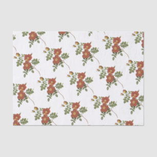 Papel De Seda Patrón de flor de Rosa