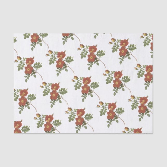 Papel De Seda Patrón de flor de Rosa (Anverso)