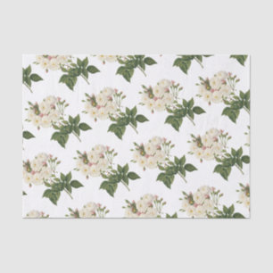 Papel De Seda Patrón de flor de Rosa