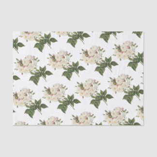 Papel De Seda Patrón de flor de Rosa