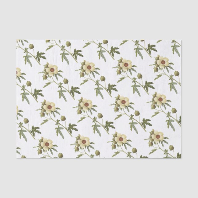 Papel De Seda Patrón de flor de trionato de Hibiscus (Anverso)