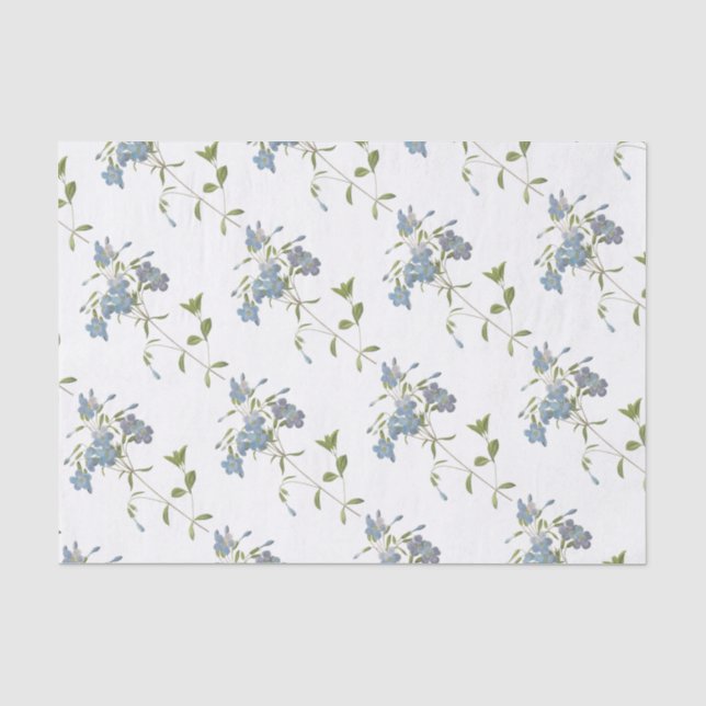 Papel De Seda Patrón de flor Phlox (Anverso)