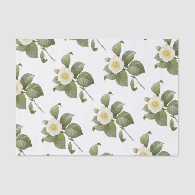 Papel De Seda Patrón de flores de camellia (Anverso)