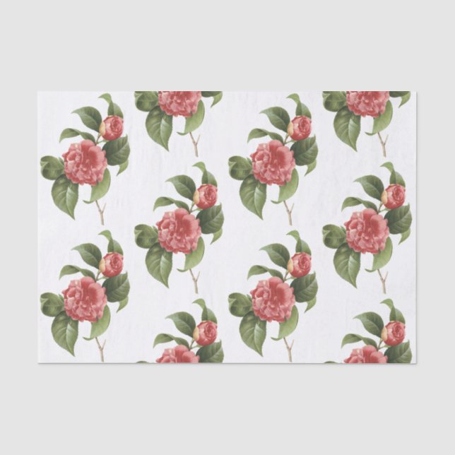 Papel De Seda Patrón de flores de camellia (Anverso)