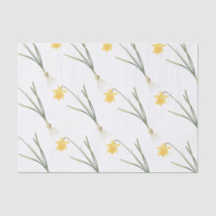 Papel De Seda Patrón de flores de Narcissus