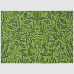 Papel De Seda Patrón de hoja de roble verde sin fisuras de Willi