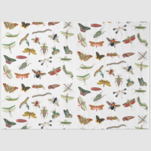 Papel De Seda Patrón de Ilustracion de insectos de época colorid