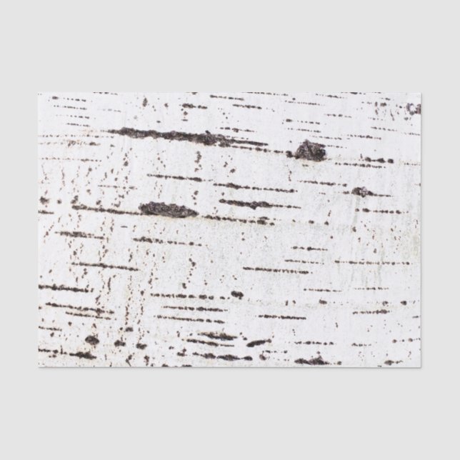 Papel De Seda Patrón de la corteza de Birch (Anverso)