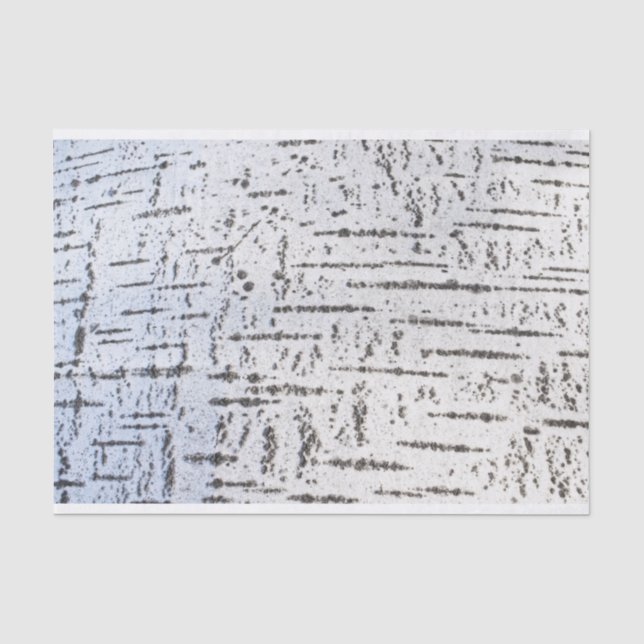 Papel De Seda Patrón de la corteza de Birch (Anverso)