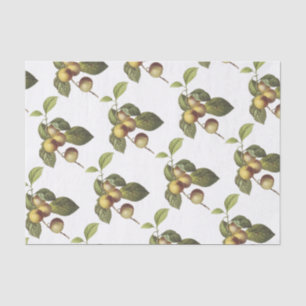 Papel De Seda Patrón de manzana de cangrejo