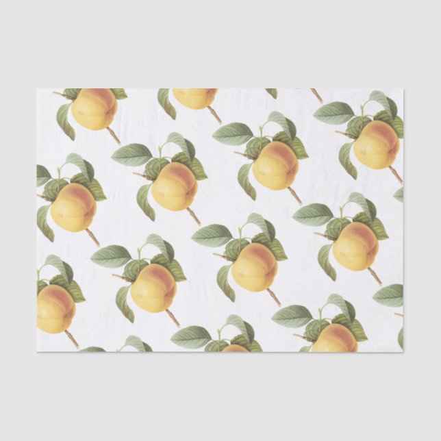 Papel De Seda Patrón de manzanas de Calville (Anverso)