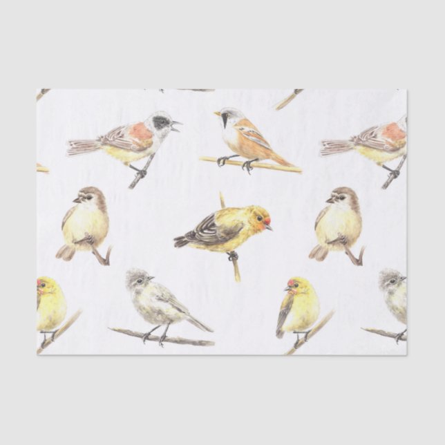 Papel De Seda Patrón de pájaros tintados (Anverso)