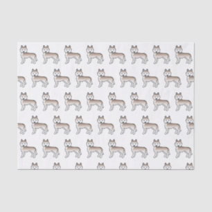 Papel De Seda Patrón de perro aguijón liviano y siberiano