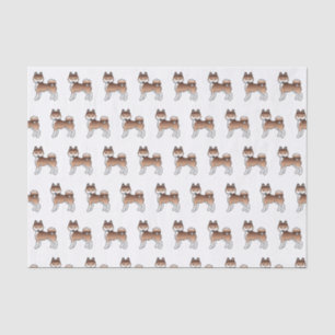 Papel De Seda Patrón de perro lindo Klee Kai de Alaska rojo y bl