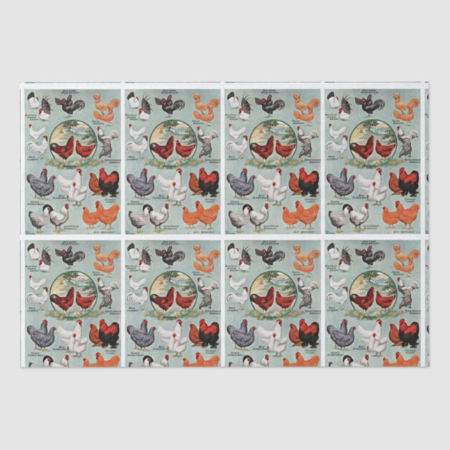 Papel De Seda Patrón de razas de pollo de época  (Anverso)