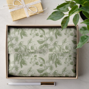 Papel De Seda Patrón de toile botánico vintage verde