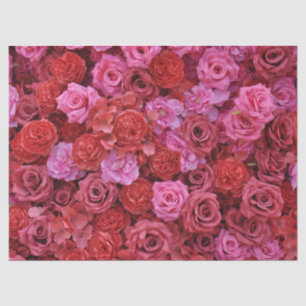 Papel De Seda Patrón floral de rosas rosadas y rojas