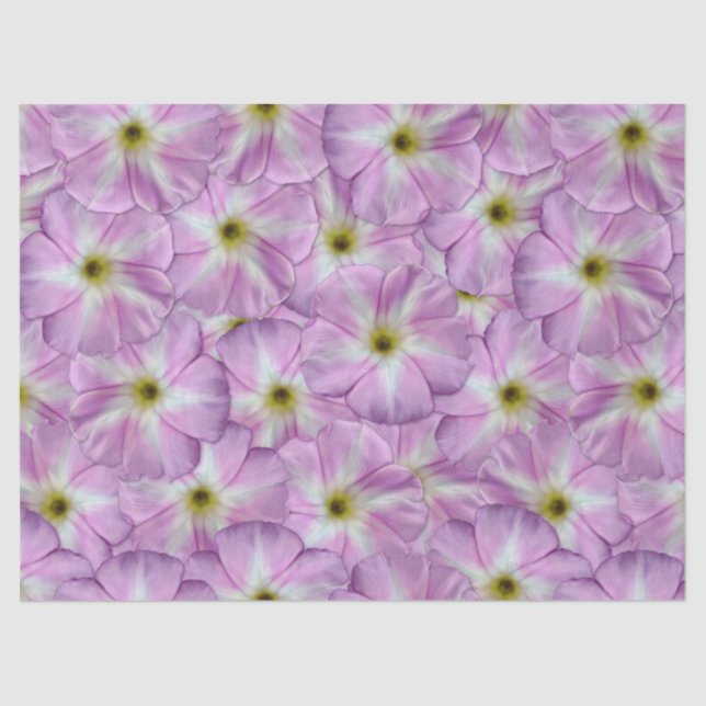 Papel De Seda Patrón sin foco (Anverso)