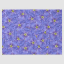 Patrón sin foco azul