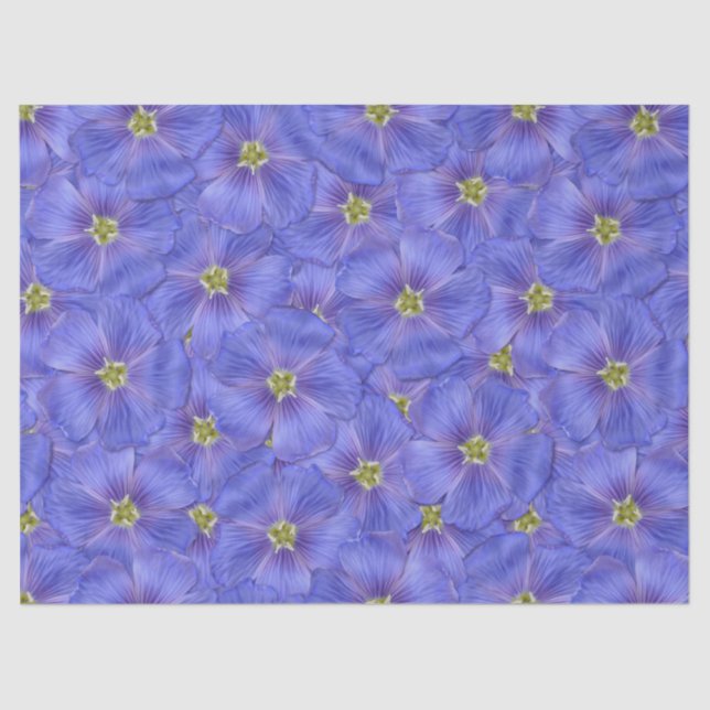 Papel De Seda Patrón sin foco azul (Anverso)