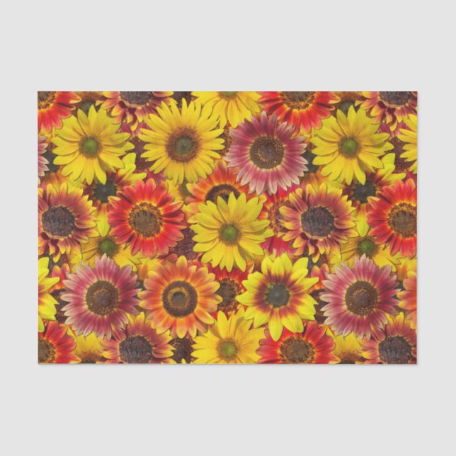 Papel De Seda Patrón sin foco de los girasoles (Anverso)