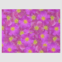 Patrón sin soldadura de Rosa salvaje