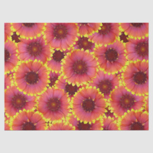 Papel De Seda Patrón sin soldadura Gaillardia