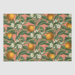 Papel De Seda Patrón Vintage de Naranja botánico Fruit Blossom
