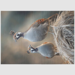 Papel De Seda Patrones de piel singulares de codorniz de juego d