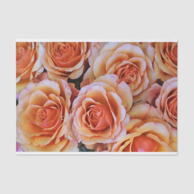Papel De Seda Peachy Roses Rosados se cierran foto descodificaci (Anverso)
