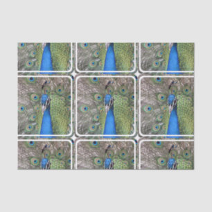 Papel De Seda peacock-3.jpg
