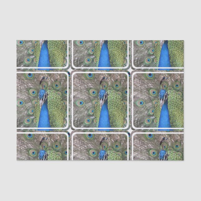 Papel De Seda peacock-3.jpg (Anverso)