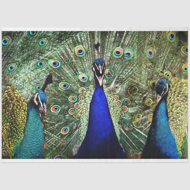 Papel De Seda Peacock Birds Wall Art Decoupage Tissue Paper (Anverso)