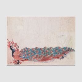 Papel De Seda Peacock elegante