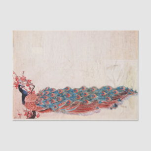 Papel De Seda Peacock elegante