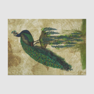 Papel De Seda Peacock elegante